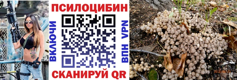 Галлюциногенные грибы Psilocybine cubensis Судак